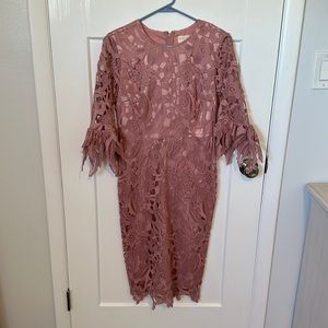 Rachel Parcell lace dress